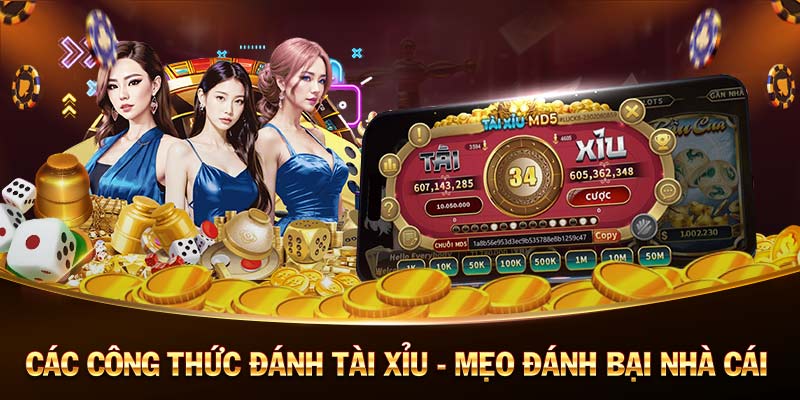 S777-Casino trực tuyến - Thế giới của cảm xúc và phần thưởng!